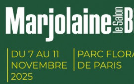 da042-salon_marjolaine.jpg